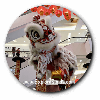 Lion Dance, based on the Chinese myth during Imlek / Chinese New Year. Lion Dance, based on the Chinese myth during Imlek / Chinese New Year.