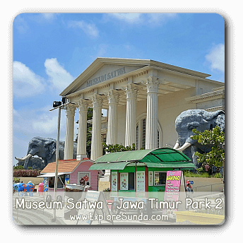 Museum Satwa - Batu, Malang