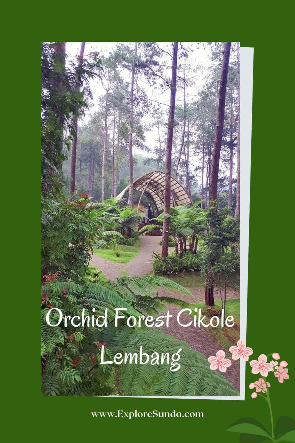 Explore Orchid Forest Cikole Lembang | stroll in a pine forest decorated with lots of orchids | Cross over the Wood Bridge | Challenge yourself in a High Rope obstacle | #ExploreSunda
