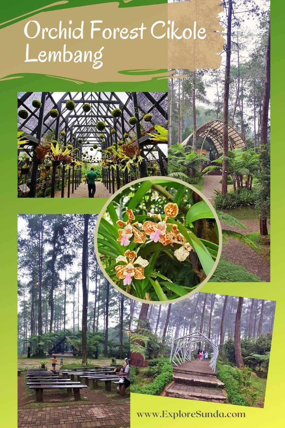 Explore Orchid Forest Cikole Lembang | stroll in a pine forest decorated with lots of orchids | Cross over the Wood Bridge | Challenge yourself in a High Rope obstacle | #ExploreSunda