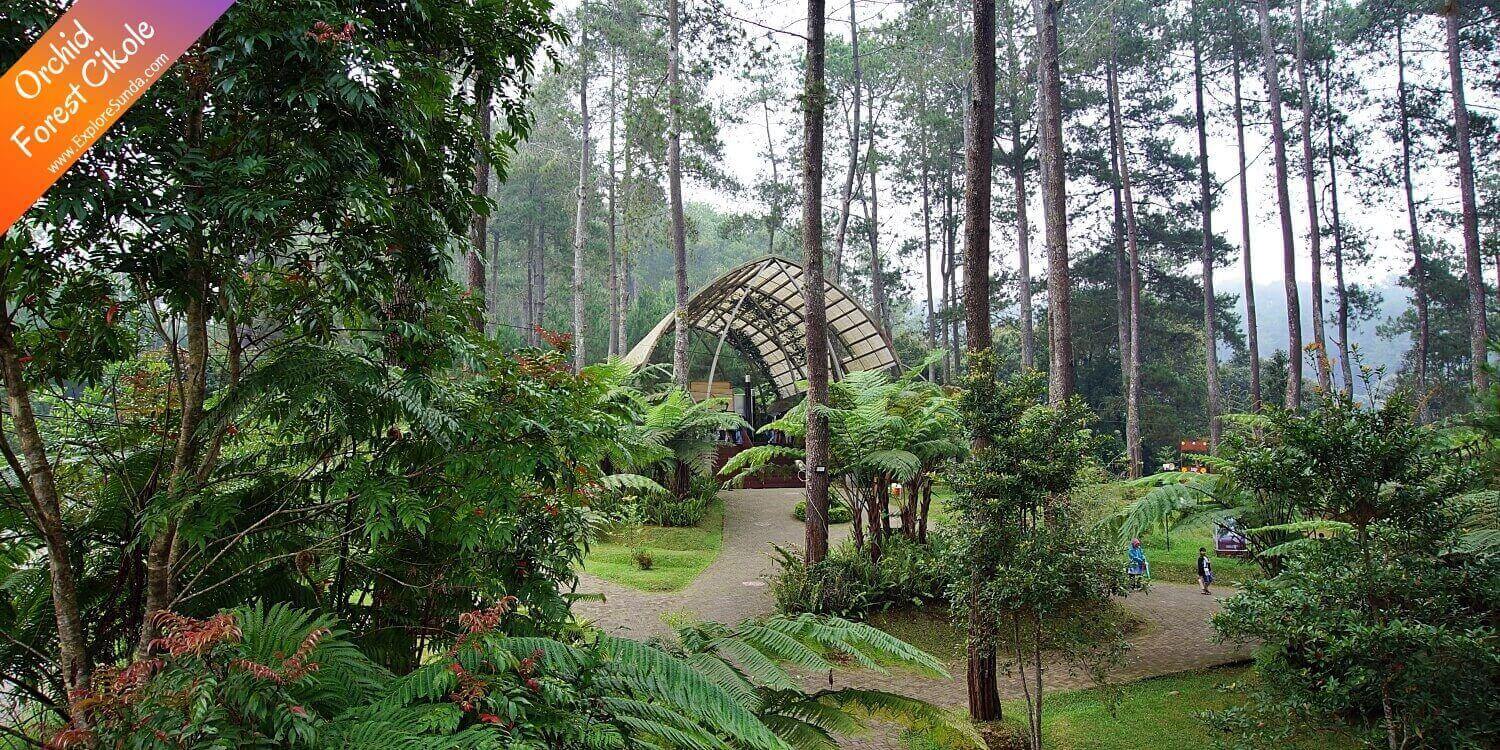 Orchid Forest Cikole, the best forest park in Lembang, Bandung. Orchid Forest Cikole, the best forest park in Lembang, Bandung.