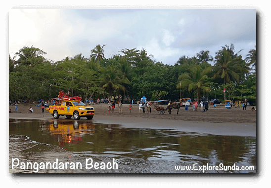 Ride a delman (traditional horse cart) on the beach, while Pangandaran lifeguards patrol the beach. Ride a delman (traditional horse cart) on the beach, while Pangandaran lifeguards patrol the beach.