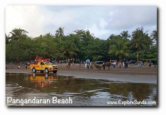 Ride a delman (traditional horse cart) on the beach, while Pangandaran lifeguards patrol the beach.