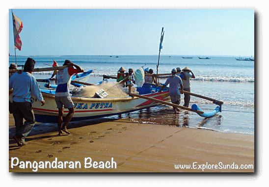 Fishermen in Pangandaran used to carry their boat from dry shore to the shoreline. Can you imagine how strong they are? Fishermen in Pangandaran used to carry their boat from dry shore to the shoreline. Can you imagine how strong they are?