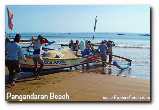 Fishermen in Pangandaran used to carry their boat from dry shore to the shoreline. Can you imagine how strong they are?