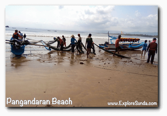 A view in Pangandaran: fishermen ready to spread the nets to the sea then pull it back to the shore hoping to catch a lot of fish. A view in Pangandaran: fishermen ready to spread the nets to the sea then pull it back to the shore hoping to catch a lot of fish.