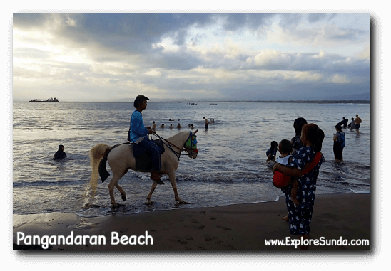 Riding a horse at Pangandaran beach