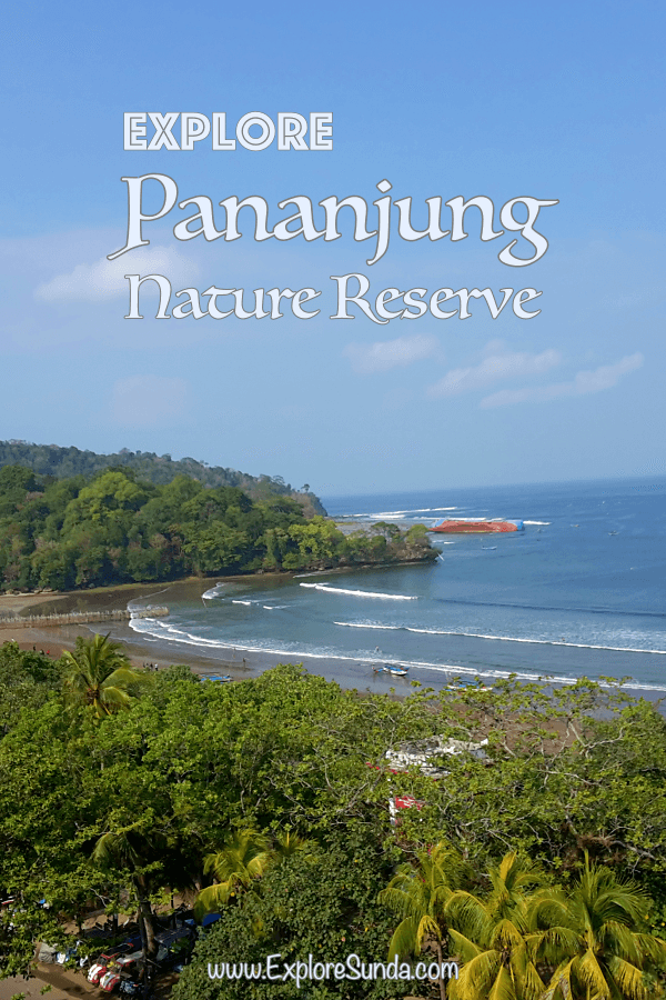 Pananjung Nature Reserve in Pangandaran. Pananjung Nature Reserve in Pangandaran.