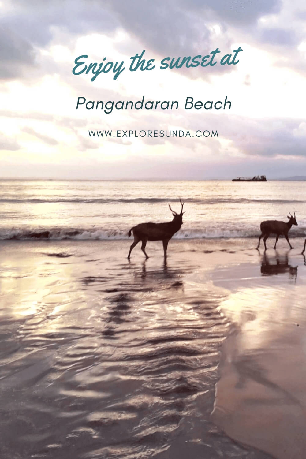 Enjoy a beautiful sunset at Pangandaran beach | Check out the many things to do in Pangandaran | What to eat | Where are the best hotels | #ExploreSunda #Pangandaran