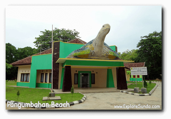 The office of the Green Turtle Conservatory in Pangumbahan beach, Ujung Genteng.