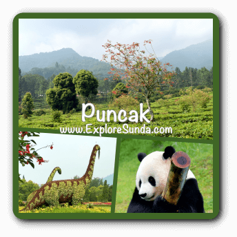 Puncak Pass The 1 Family Holiday Destination In The Land Puncak Pass The 1 Family Holiday Destination In The Land