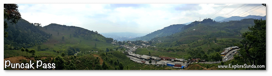 The view of Puncak Pass.