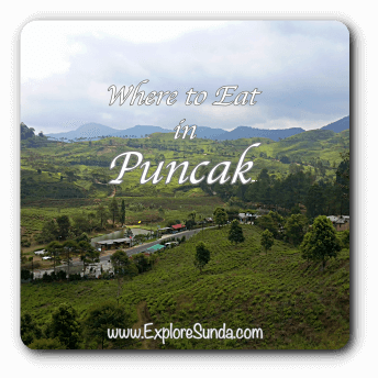 Puncak: 5 Tips to Fully Enjoy Your Vacation