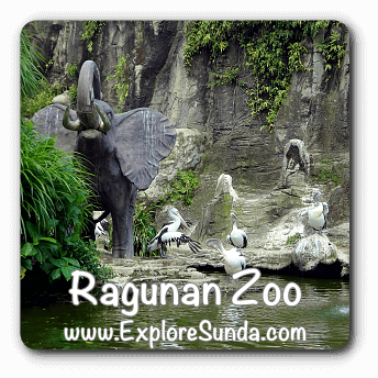 Ragunan Zoo, Jakarta.