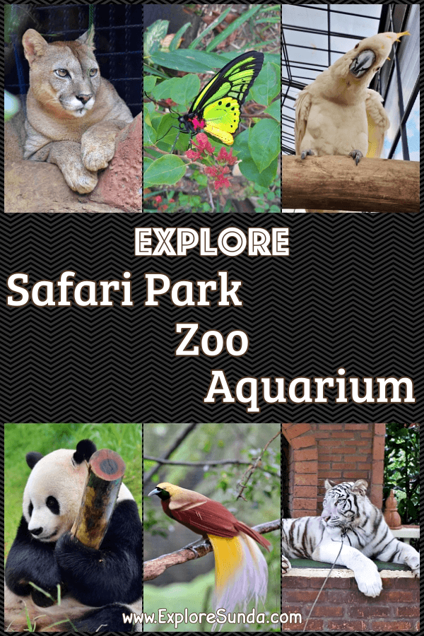 See the Wild in Safari Park, Zoo, Aquarium, and Bird Aviary