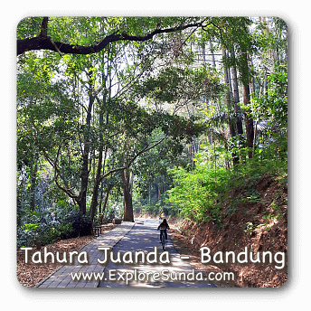 Tahura Juanda (Juanda forest) - Bandung.