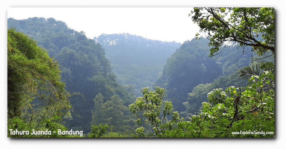 Bandung Taman Hutan Raya Ir H Djuanda