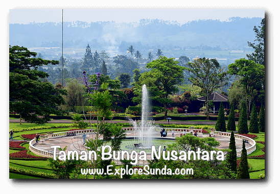 Taman Bunga Nusantara Cipanas Puncak Taman Bunga Nusantara Cipanas Puncak