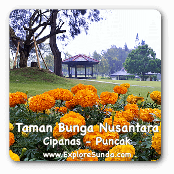 Taman Bunga Nusantara in Cipanas, Puncak.