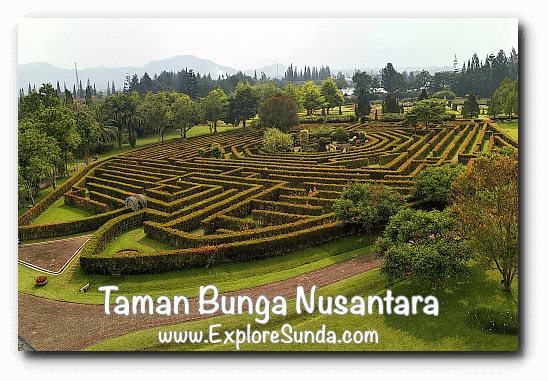  Taman  Bunga  Nusantara  Cipanas  Puncak