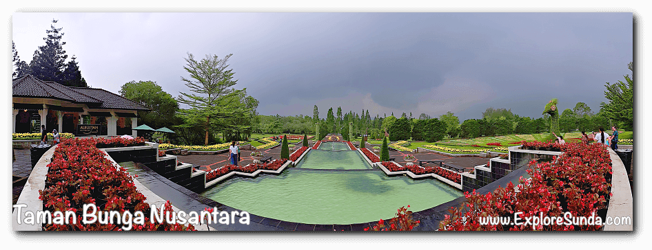 Explore Taman Bunga Nusantara in Cipanas Puncak and enjoy the 35 hectares of gorgeous flower garden with its colorful theme gardens and topiaries.