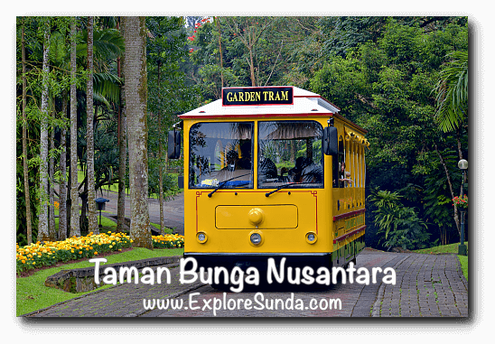 Taman Bunga Nusantara Cipanas Puncak Taman Bunga Nusantara Cipanas Puncak