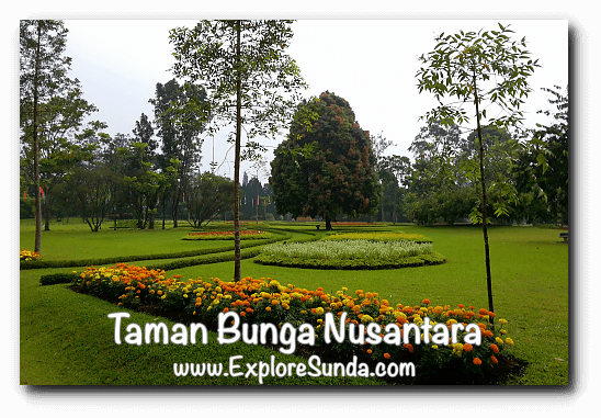  Taman  Bunga  Nusantara Cipanas  Puncak 