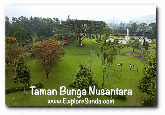 Taman Bunga Nusantara Cipanas Puncak Taman Bunga Nusantara Cipanas Puncak