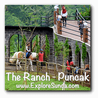 Horse Ride at The Ranch in Cisarua, Puncak