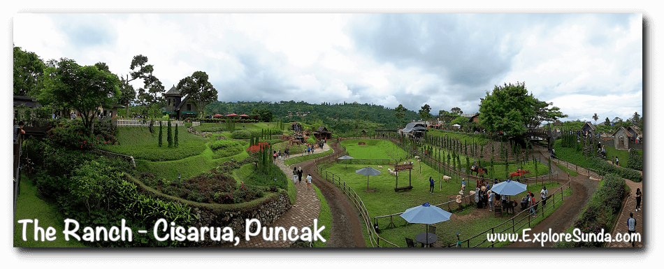  Ride a horse like Robin Hood, shoot arrows to earn a prize, feed the rabbits, herd sheep, and enjoy the gorgeous view of The Ranch Cisarua Puncak :)
