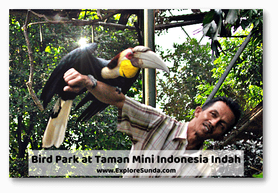 Take pictures with exotic birds in the bird park of Taman Mini Indonesia Indah, Jakarta.