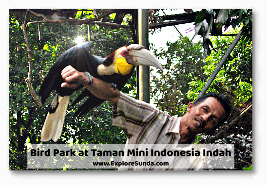 Take pictures with exotic birds in the bird park of Taman Mini Indonesia Indah, Jakarta. Take pictures with exotic birds in the bird park of Taman Mini Indonesia Indah, Jakarta.
