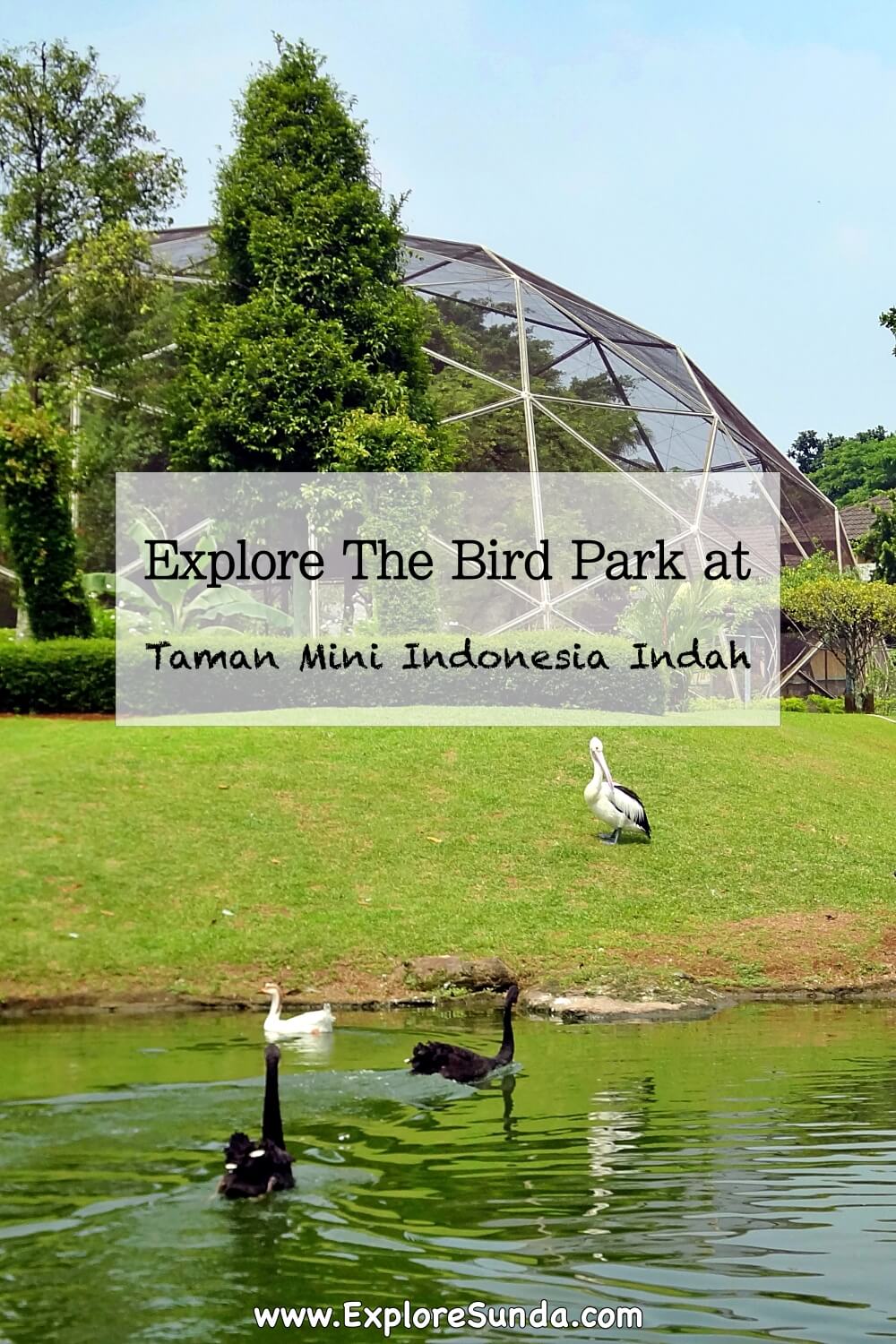 Go inside the giant domes of the Bird Park at Taman Mini Indonesia Indah and see the exotic birds from all over Indonesia | #ExploreSunda #TMII #TamanMini