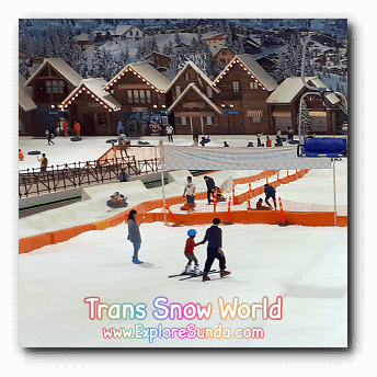 Learn how to ski in Trans Snow World. Learn how to ski in Trans Snow World.