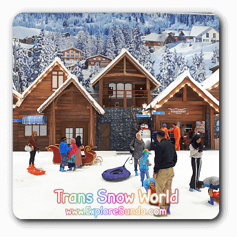 Trans Snow World